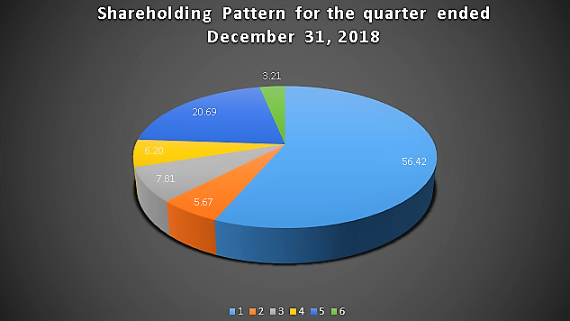 shareholding Eng 2018